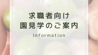 求職者向け 園見学のご案内