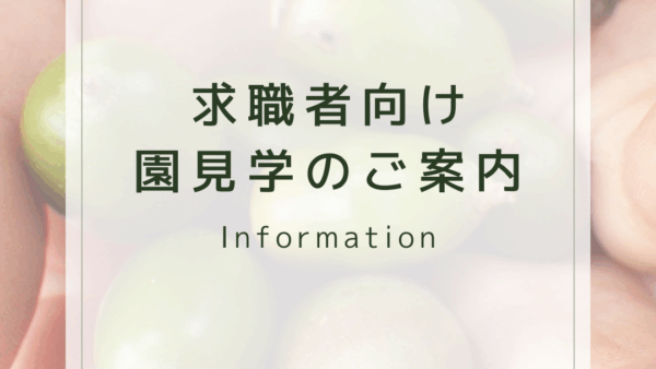 求職者向け 園見学のご案内